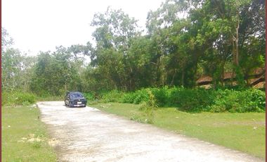 Dekat Bandara YIA, Rumah Murah Jogja di Kulon Progo Model Japandi