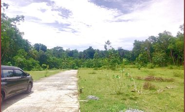 Dekat Bandara YIA, Rumah Murah Jogja di Kulon Progo Model Japandi