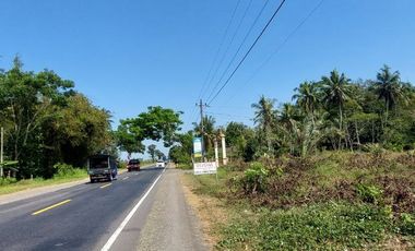 Tanah Strategis Murah  dekat SMPN 3 Purworejo