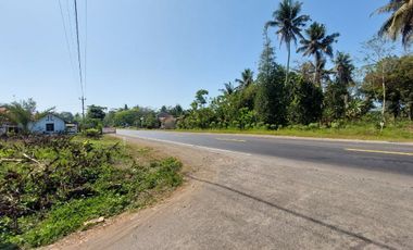 Tanah Strategis Murah  dekat SMPN 3 Purworejo