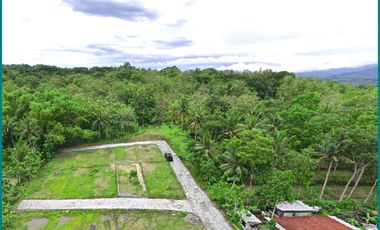 Giri Peni Wates, Rumah Jogja Murah  Model Bali Style Type 50