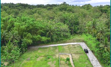 Giri Peni Wates, Rumah Jogja Murah  Model Bali Style Type 50