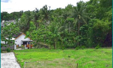 Giri Peni Wates, Rumah Jogja Murah  Model Bali Style Type 50