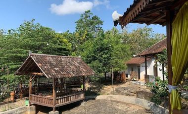 Rumah Makan di Tepi Jalan Raya Gunung Kidul dekat dengan GOA PINDUL