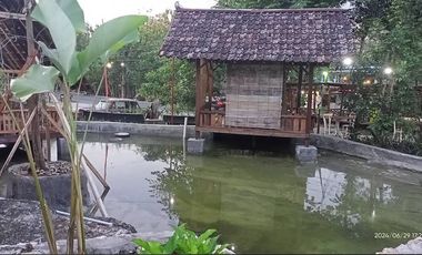 Rumah Makan di Tepi Jalan Raya Gunung Kidul dekat dengan GOA PINDUL