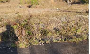 Tanah 73 Are di Ungasan