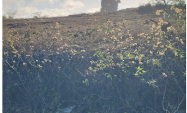 Tanah 73 Are di Ungasan