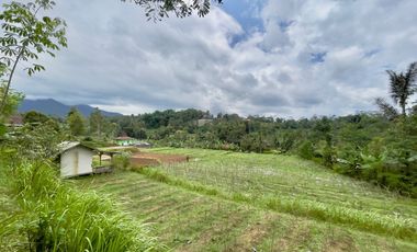 Dijual Murah Tanah + Rumah 5007 m2 Bisa Beli Sebagian di Purwakarta