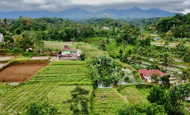 Dijual Murah Tanah + Rumah 5007 m2 Bisa Beli Sebagian di Purwakarta