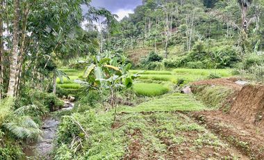 Dijual Murah Tanah + Rumah 5007 m2 Bisa Beli Sebagian di Purwakarta