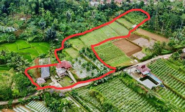 Dijual Murah Tanah + Rumah 5007 m2 Bisa Beli Sebagian di Purwakarta