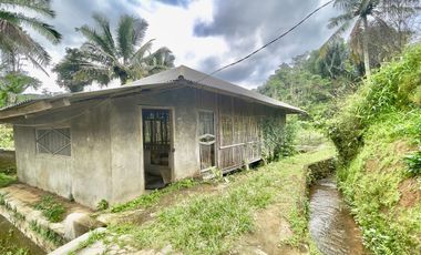 Dijual Murah Tanah + Rumah 5007 m2 Bisa Beli Sebagian di Purwakarta