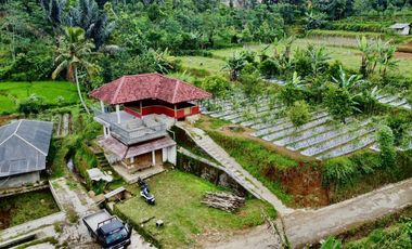 Dijual Murah Tanah + Rumah 5007 m2 Bisa Beli Sebagian di Purwakarta