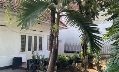 Disewakan Rumah Usaha Jl. Kampar Dekat Mayjend dan Diponegoro