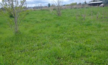 PARCELA A MINUTOS DE LA CIUDAD LOS ÁNGELES