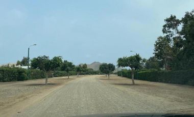 VENTA DE TERRENO - PACHACAMAC – FINCA MARIA - 2,517 m2