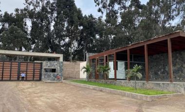 VENTA DE TERRENO - PACHACAMAC – FINCA MARIA - 2,517 m2