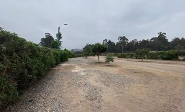 VENTA DE TERRENO - PACHACAMAC – FINCA MARIA - 2,517 m2