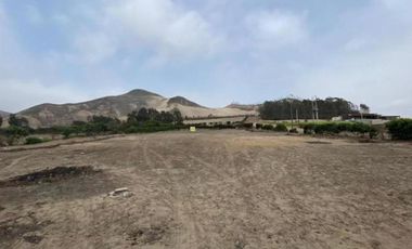 VENTA DE TERRENO - PACHACAMAC – FINCA MARIA - 2,517 m2