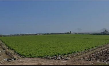 VENTA DE TERRENO EN CHANCAY