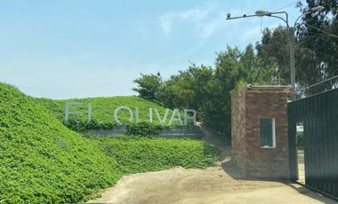 Alquilo Casa de Campo - Pucusana