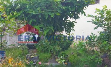 Rumah di Jabon  h<- Kediri