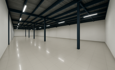 LOCAL COMERCIAL EN LLANO BONITO EDIFICIO  PRESTIGE STORAGE 478M2