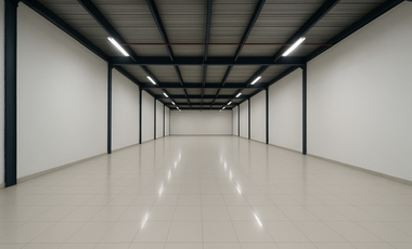 LOCAL COMERCIAL EN LLANO BONITO EDIFICIO  PRESTIGE STORAGE 478M2