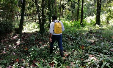 FINCA BOCAS DEL TORO CON PLAYA