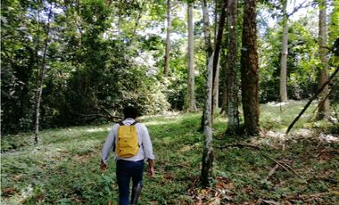 FINCA BOCAS DEL TORO CON PLAYA