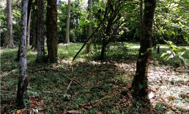 FINCA BOCAS DEL TORO CON PLAYA