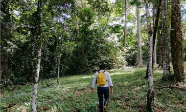 FINCA BOCAS DEL TORO CON PLAYA