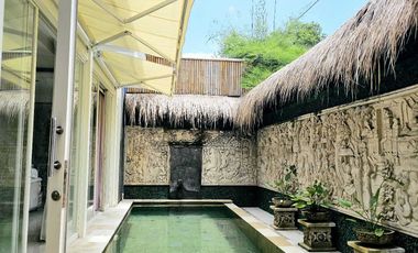 Villa Strategis Minimalis Banjar Semer Kerobokan Bali