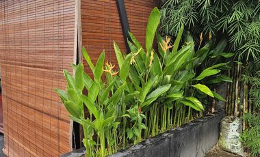 Villa Strategis Minimalis Banjar Semer Kerobokan Bali