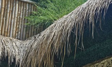 Villa Strategis Minimalis Banjar Semer Kerobokan Bali