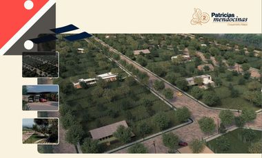 Terreno / Lote en venta de 300m2 ubicado en Coquimbito