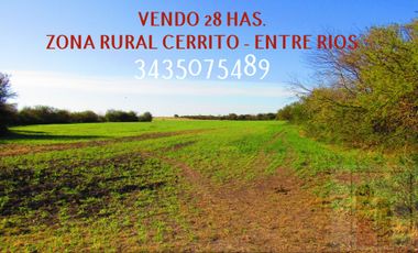 VENDO 28  HAS. A 6 KM DE CERRITO, DPTO. PARANA, ENTRE RIOS