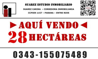 VENDO 28  HAS. A 6 KM DE CERRITO, DPTO. PARANA, ENTRE RIOS