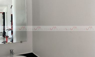 Olmeca Lomas del Roble