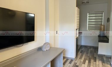 Olmeca Lomas del Roble