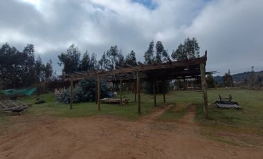 DOS CASAS CON PARCELAS EN LITUECHE - 5090 UF