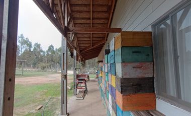 DOS CASAS CON PARCELAS EN LITUECHE - 5090 UF