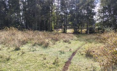 HERMOSA PARCELA DE 1,9 HECTÁREAS CON CALIDAD INDÍGENA