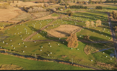 OPORTUNIDAD ÚNICA - PARCELA A 5KM DE PLAZA DE OSORNO