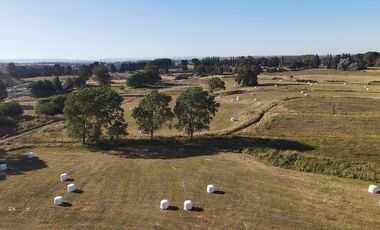 OPORTUNIDAD ÚNICA - PARCELA A 5KM DE PLAZA DE OSORNO