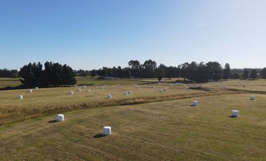OPORTUNIDAD ÚNICA - PARCELA A 5KM DE PLAZA DE OSORNO