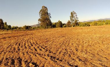 Parcela en Venta en cruce las ratras talca