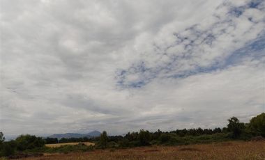 Parcela en Venta en cruce las ratras talca