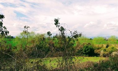 Parcela en Venta en cruce las ratras talca