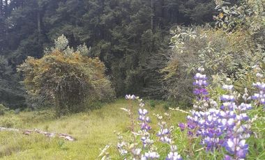 TERRENO EN VENTA EN MINERAL DEL MONTE, HIDALGO.